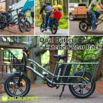 1500W Double Battery Electric Cargo Bike E-Bike