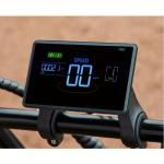 1000W All-Terrain Electric Mountain Bike