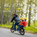 1500W Double Battery Electric Cargo Bike E-Bike