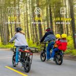 1500W Double Battery Electric Cargo Bike E-Bike