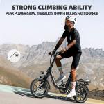 16" Peak Folding E-Bike - 35 Miles Range
