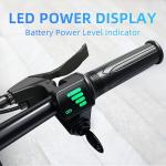 16" Folding Electric Bike, 2 Seats, 25MPH