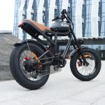 1500W 20" Off-Road Electric Mountain Bike