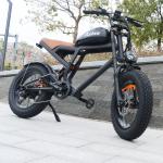 1500W 20" Off-Road Electric Mountain Bike