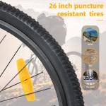 26'' Electric Mountain Bike with 750W Motor