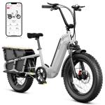 1500W Fast Cargo Electric Bike for Adults