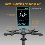 26'' Electric Mountain Bike with 750W Motor