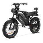 Happyrun Dual Battery Electric Bike 2000W 20