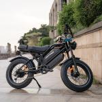 Happyrun Dual Battery Electric Bike 2000W 20