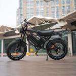 Happyrun Dual Battery Electric Bike 2000W 20
