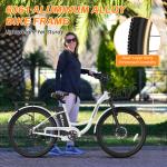 MOPHOTO 24" Electric Adult Cargo Bike 700W