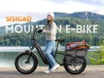 1500W Fast Cargo Electric Bike for Adults