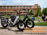 1500W Fast Cargo Electric Bike for Adults