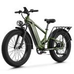 Aipas 26" Fat Tire 1800W Electric Mountain Bike
