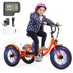 MOONCOOL 16" Youth Electric Tricycle 250W
