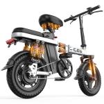GES 740W Folding Ebike for Adults, 22 MPH