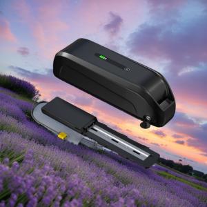 H Hailong 48V 52V 20Ah EBike Battery