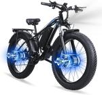 Powerful 3000W Electric Fat Tire Mountain Bike