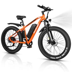 Varun 26" Fat Tire Electric Mountain Bike 750W