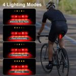 USB Rechargeable LED Bike Tail Light for Safety
