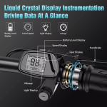 Folding Electric Bike for Adults and Teens