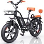 1500W Electric Bike 48V 15Ah 2-Seater Ebike