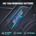 1500W Electric Bike 48V 15Ah 2-Seater Ebike