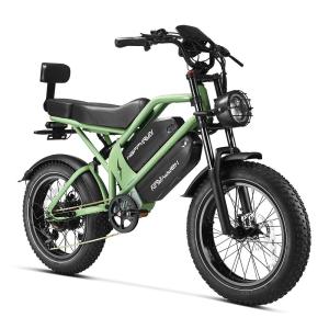 Happyrun Dual Battery 2000W Electric Bike 36MPH