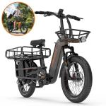 Electric Fat Tire Cargo Bike 1000W with Basket