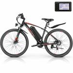 500W Electric Mountain Bike with LCD Display