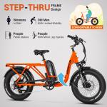 Addmotor M81 750W Electric Cargo Bike with Fat Tires