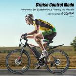 500W Electric Mountain Bike with LCD Display