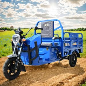 800W Electric 3-Wheel Multi-Functional Tricycle Truck