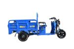 800W Electric 3-Wheel Multi-Functional Tricycle Truck