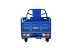 800W Electric 3-Wheel Multi-Functional Tricycle Truck