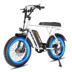 750W Fat Tire Electric Bike for Commuting