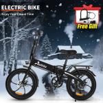 850W Fat Tire Electric Bike for City Rides