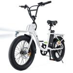 500W Electric Cargo Bike, 60-Mile Range, 20" Tires