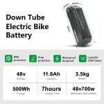 Electric XP Trike Cargo eBike with 48V Battery