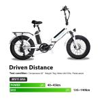 Electric XP Trike Cargo eBike with 48V Battery