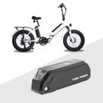 Electric XP Trike Cargo eBike with 48V Battery