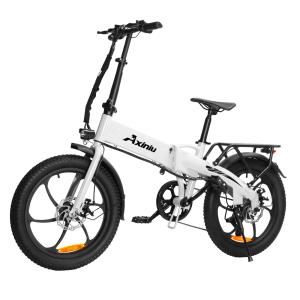 Axiniu 20" Folding 850W Electric Commuter Bike