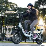 Peak 630W Folding Electric Bike with Suspension