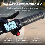 Peak 630W Folding Electric Bike with Suspension