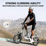 Peak 630W Folding Electric Bike with Suspension