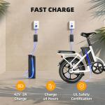 Peak 630W Folding Electric Bike with Suspension