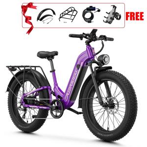 1800W Fat Tire Electric Bike, 36MPH Speed