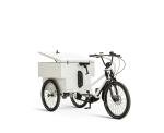 Coaster Cycles Venture Cargo Trike with Bosch