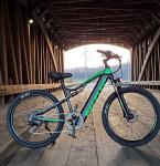 27.5" Mountain Electric Bike 1000W Full Suspension