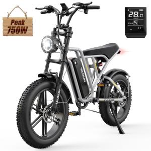 Varun 750W Adult Electric Mountain Bike 20" Fat Tire